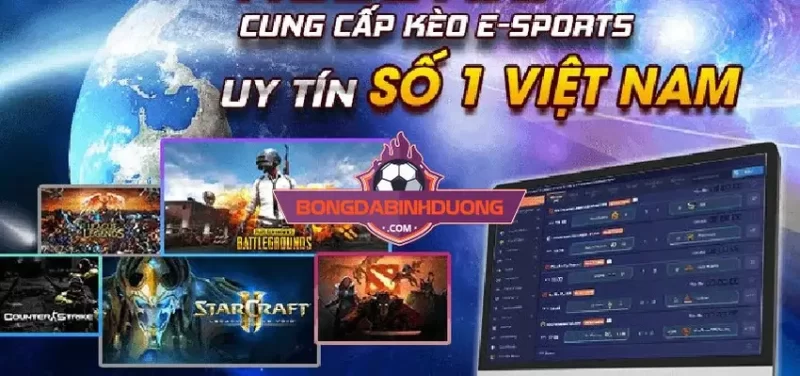 #10 nhà cái cá cược Esport chất lượng được đánh giá cao