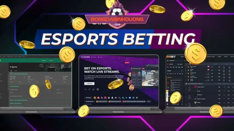 #10 nhà cái cá cược Esport chất lượng được đánh giá cao